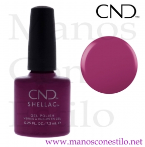 SHELLAC BRAZEN