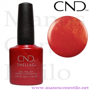 SHELLAC 119 HOLLYWOOD